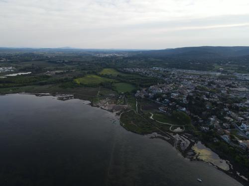 Balaruc-le-Vieux [16-04-2022](0583).jpg